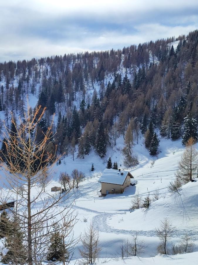 Il Riccio Del Castagno Apartman Novaledo Kültér fotó