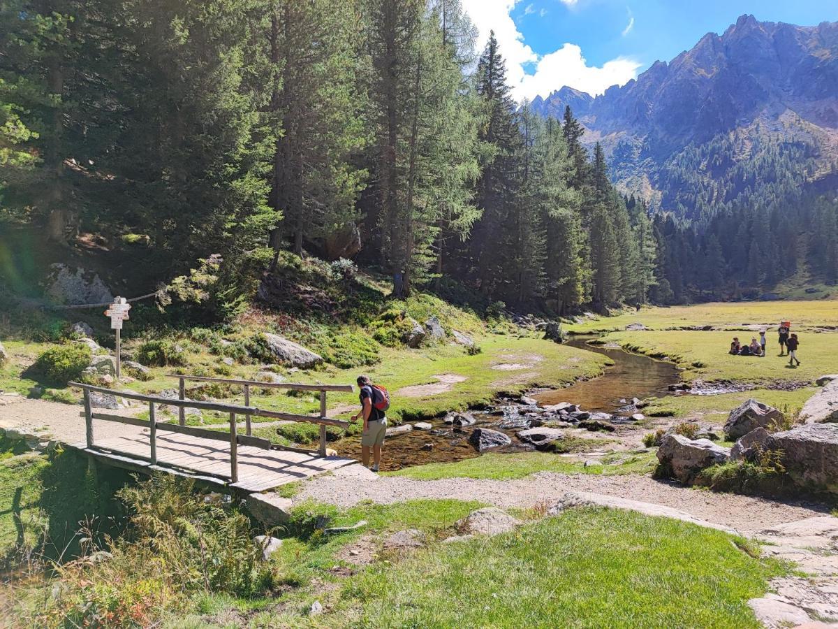 Il Riccio Del Castagno Apartman Novaledo Kültér fotó